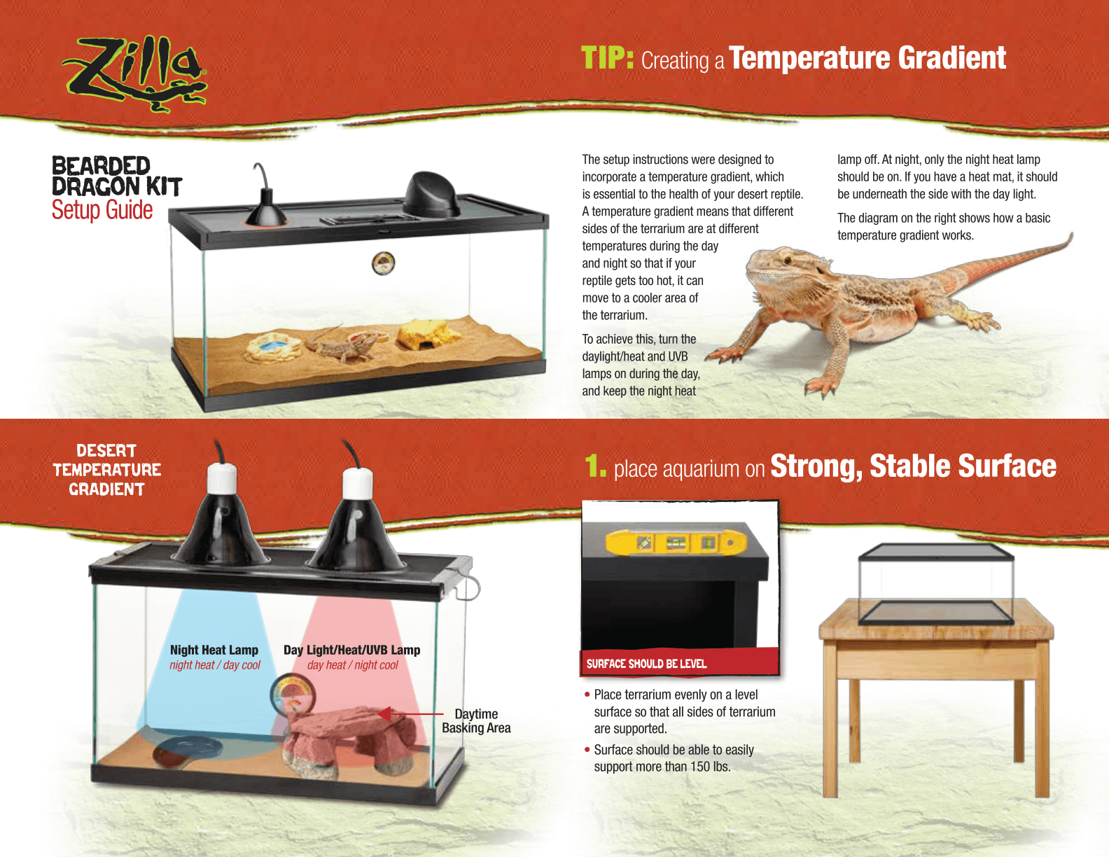 Bearded Dragon Kit Setup Guide